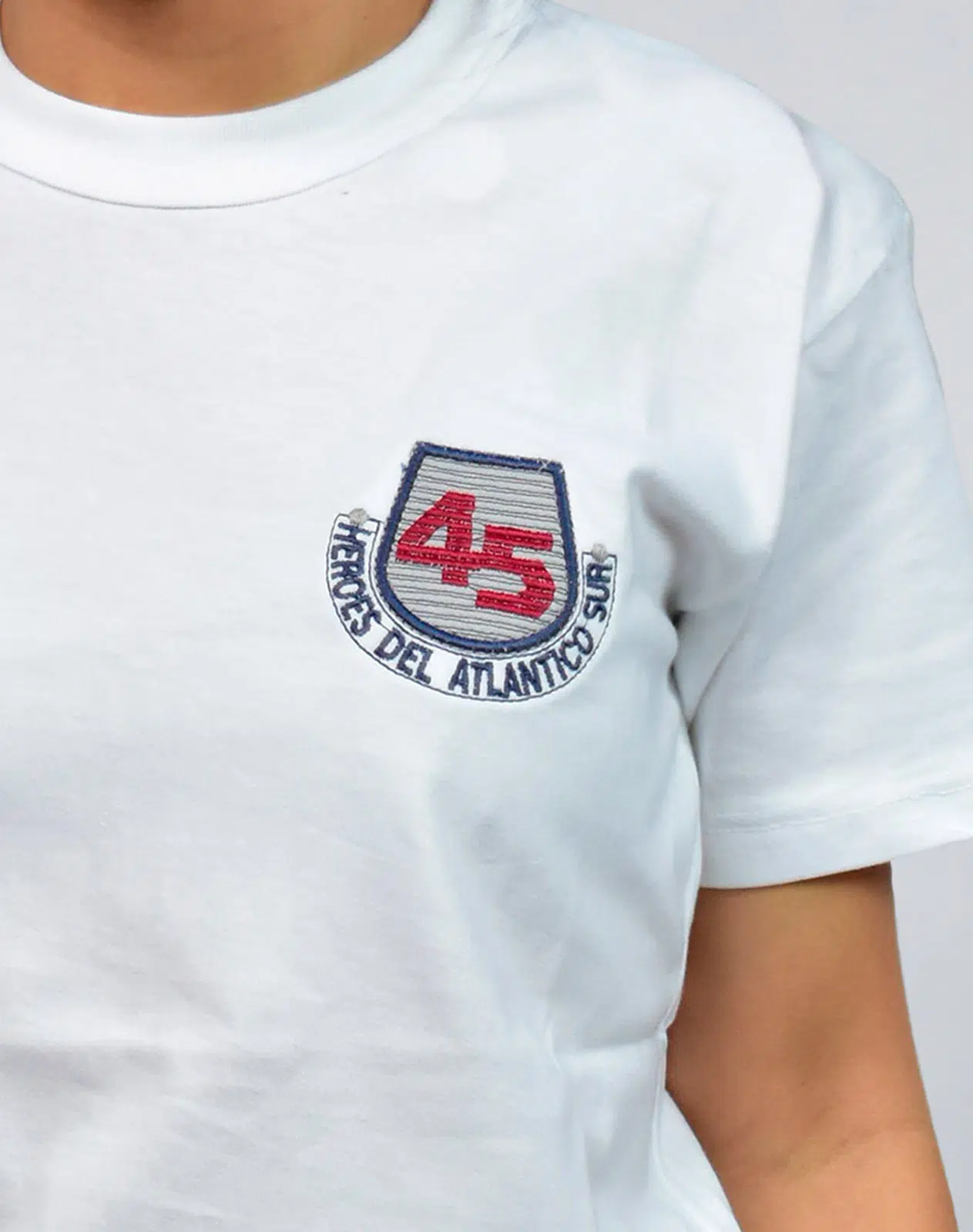 Remera Manga Corta Ens N° 45 Con Bordado Institucional