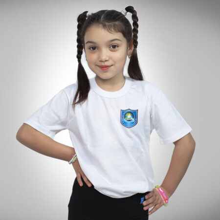 Remera EEP N° 33 Manga Corta con Bordado Institucional