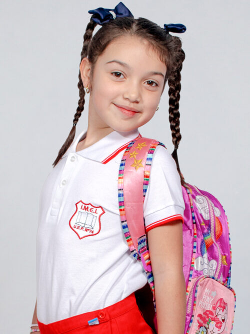 Chomba Manga Corta Colegio IMEI con Bordado Oficial y Vivos de Color